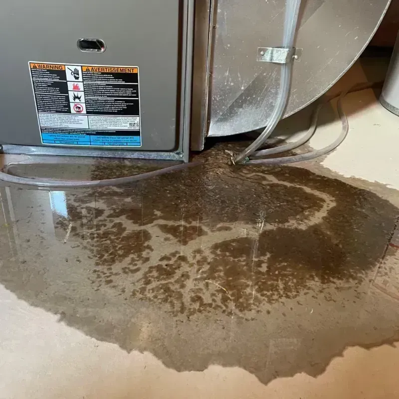 Appliance Leak Cleanup in Kersey, CO